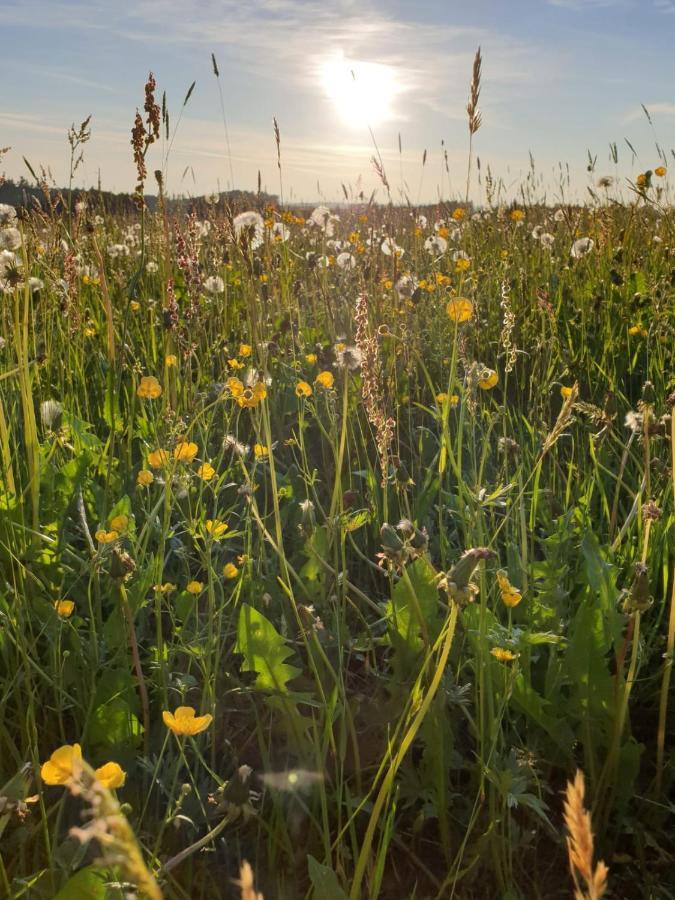 Ferienwohnung Rupp Argenbuhl Kültér fotó