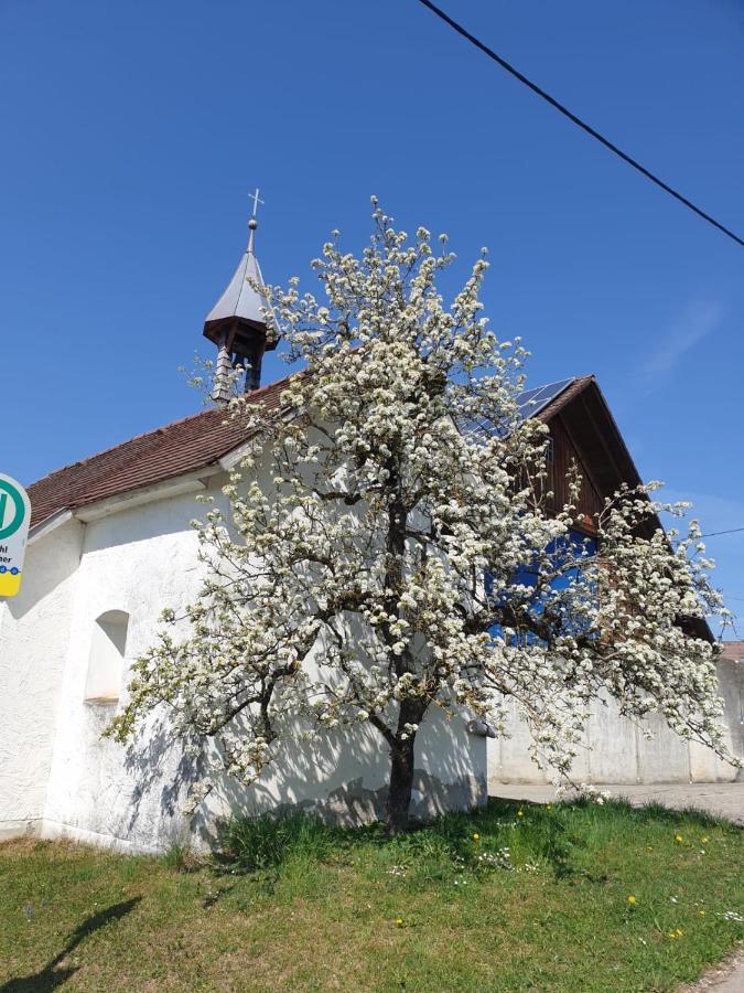 Ferienwohnung Rupp Argenbuhl Kültér fotó